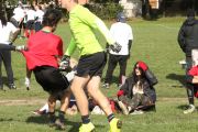 OTFL Gallery Image
